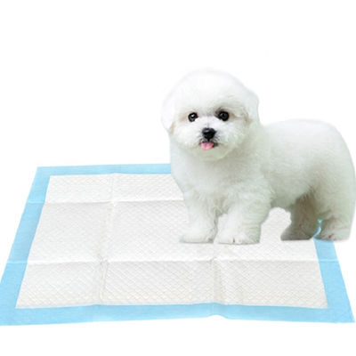 Su Geçirmez 60*90cm Tek Kullanımlık Köpek Eğitim Pedleri Kuru Yüzey